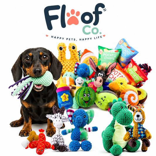 Floof Dog Toy Bundle – 8 or 16 Piece Variety Pack | Chew, Squeak & Play